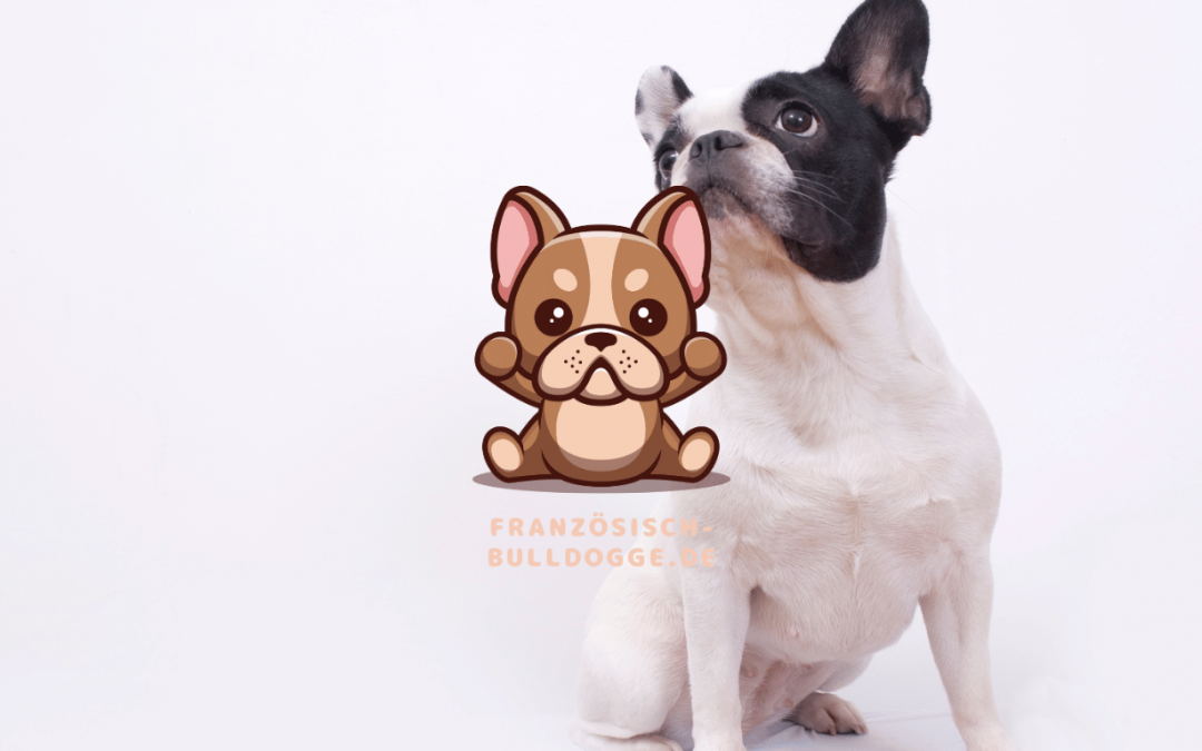 Die Französische Bulldogge: Ein Überblick und Einführung in die Rasse, ihre Geschichte und ihre Besonderheiten.